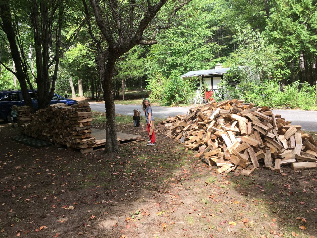 Dillon helping to move wood from the delivery pile to the stacked pile between two trees.