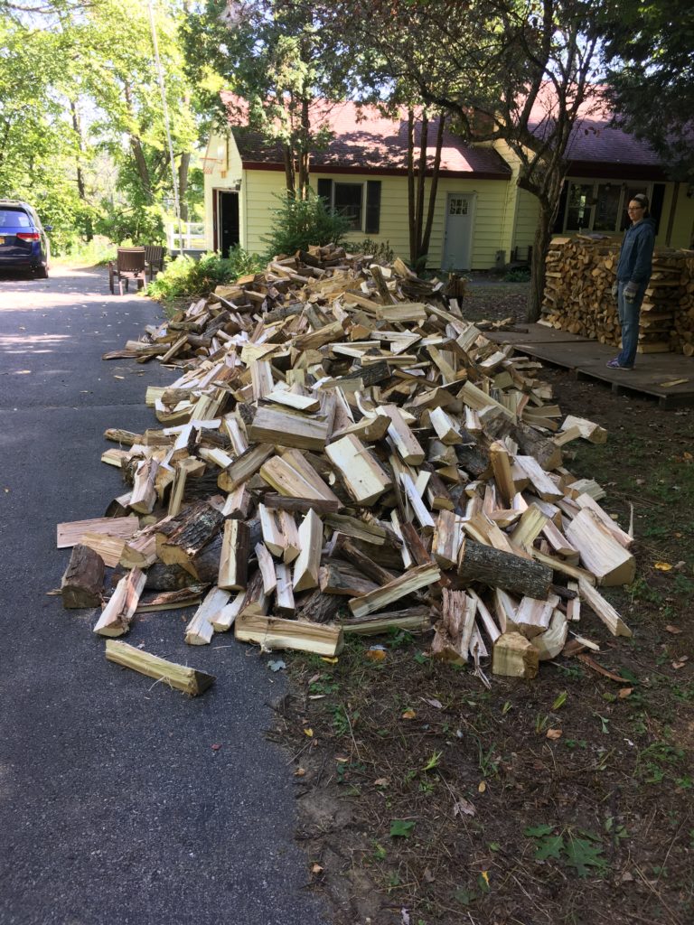 A photo of the second load of wood immediately after delivery, with the first load of wood in the background, and some stacked wood off to the side.