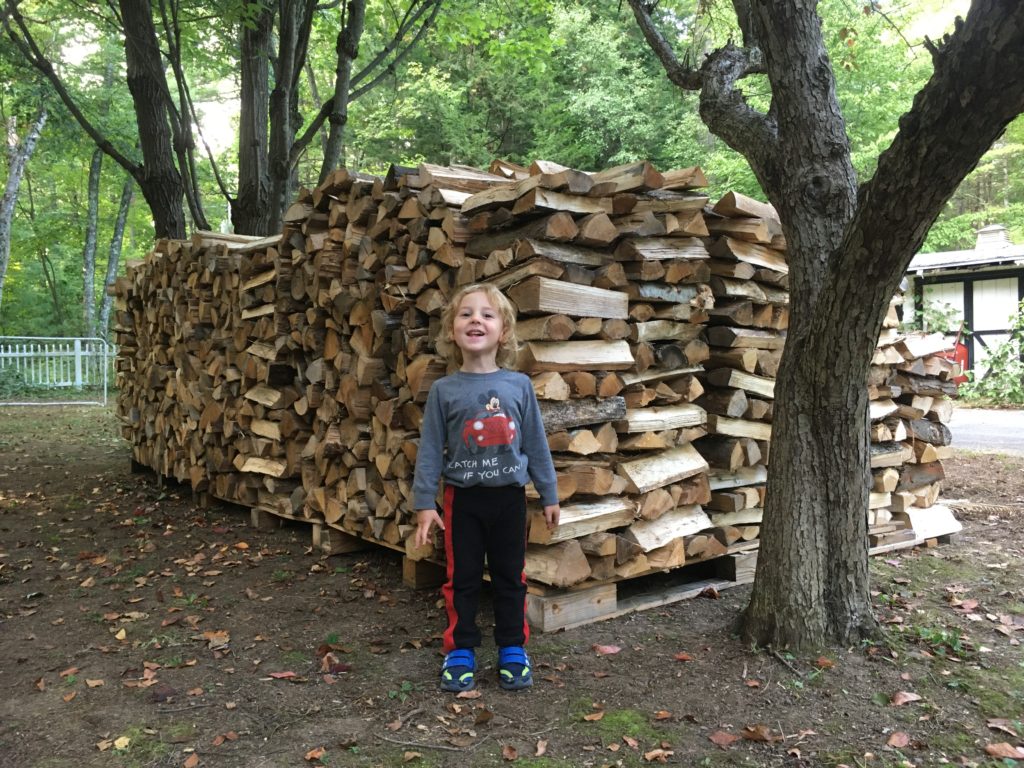 Grayson posing in front of four cords of stacked firewood.