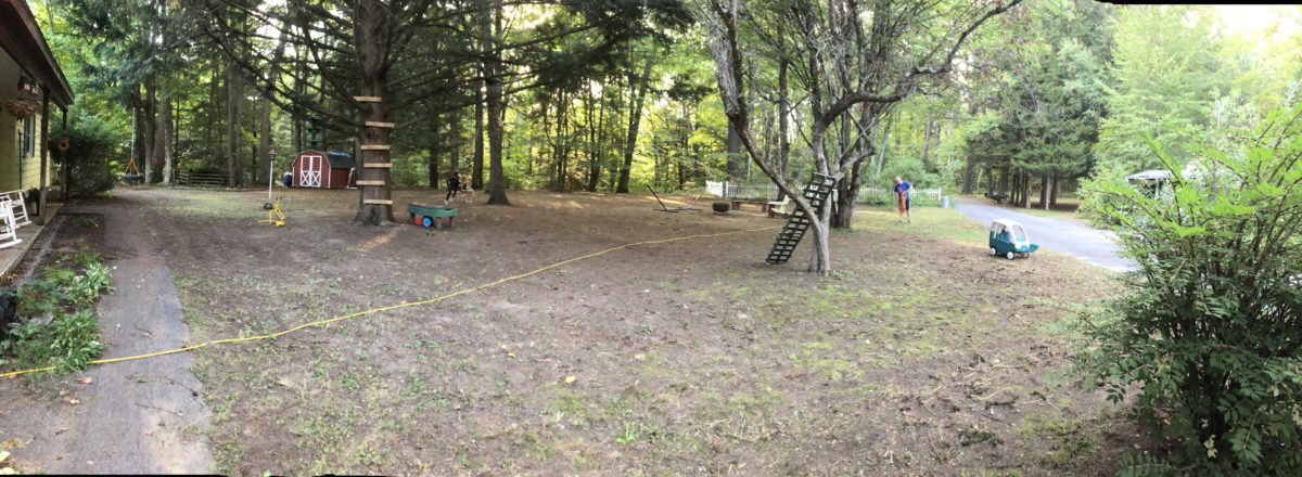A panoramic photo of the yard after the cleanup was complete