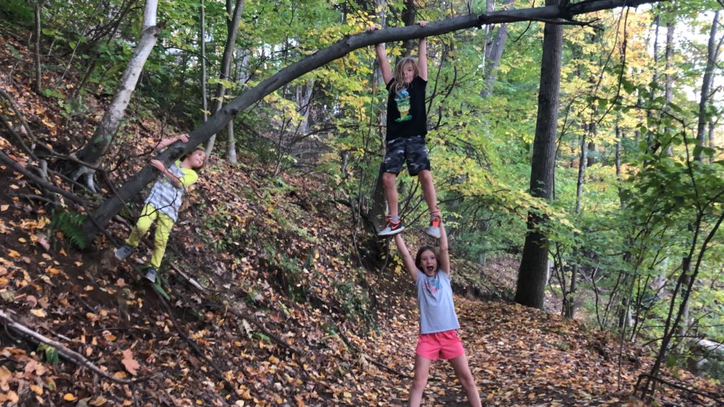 Dillon hanging from an overhanging tree- with Rayleigh under his legs.