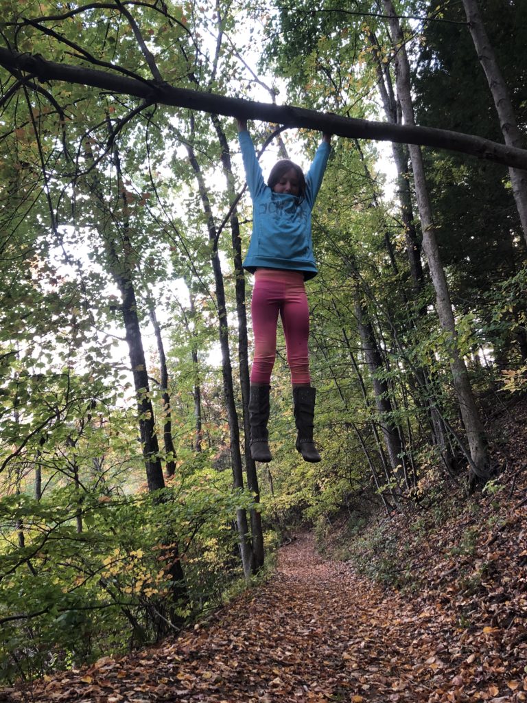 Rayleigh hanging from an overhanging tree. 