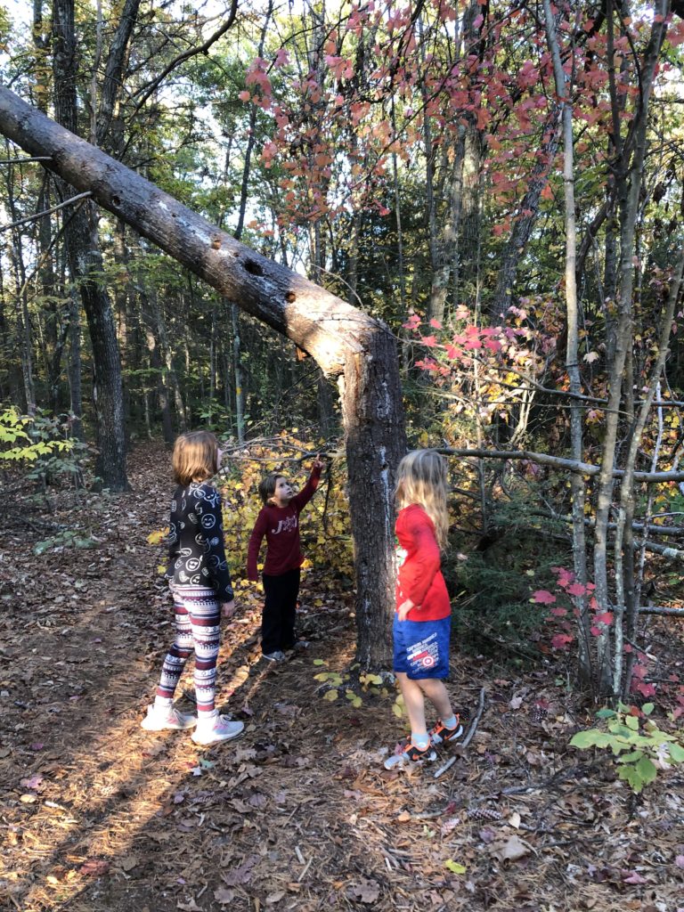 Rayleigh, Ainsley, and Dillon discussing a broken tree from a tornado. 