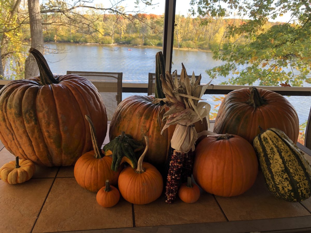 An assortment of pumpkins, gourds, and colorful ears of corn on our back porch table overlooking the river.