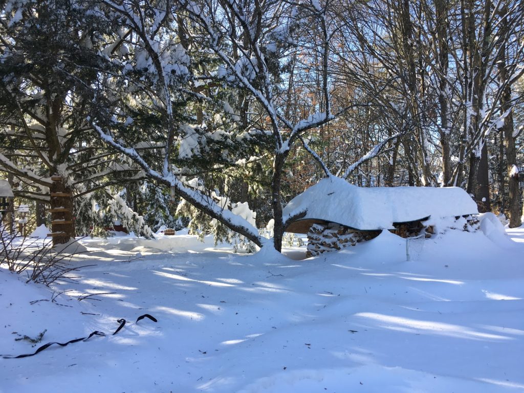 A photo of three feet of snow on top of the rink and surrounding yard area.