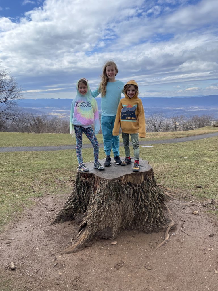 A photo of Ainsley, Dillon, and Grayson on a large stump with the Appalachian mountains in the background