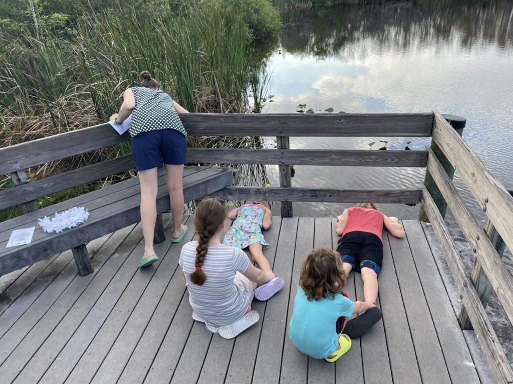 A photo of Kelsey, Ainsley, and Dillon leaning over the side of the pier to look at fish underneath it while Rayleigh holds Ainsley's legs and Grayson holds Dillon's legs