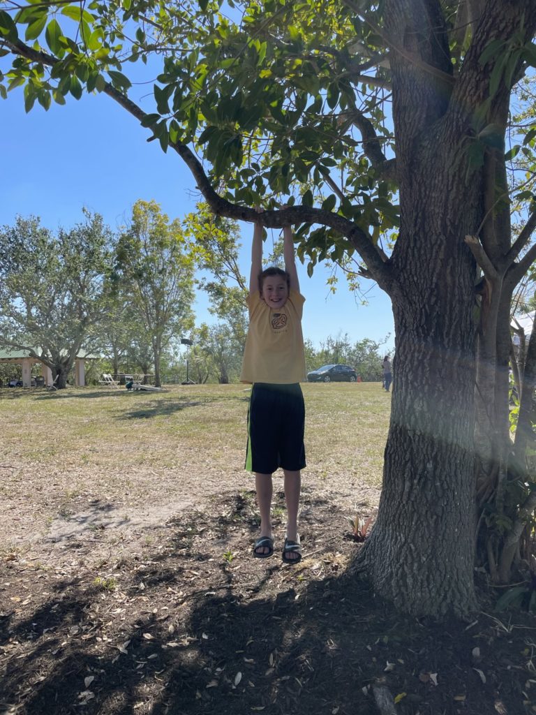 A photo of Dillon hanging from a tree branch in a park