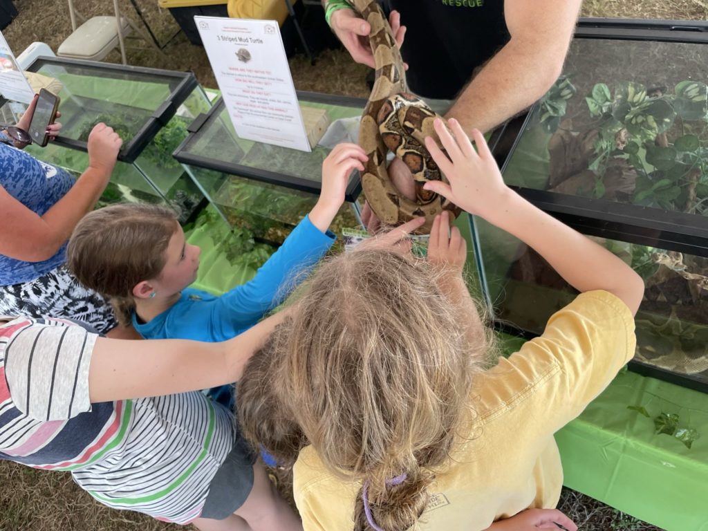 A photo of Ainsley, Rayleigh, Grayson, and Dillon petting a large snake being held by an animal rescue worker