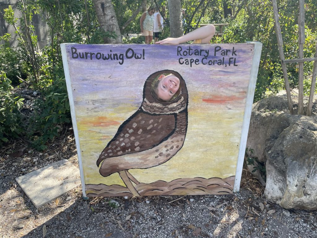 A photo of Dillon with his head upside down in the cutout of a board with a painting of a burrowing owl on it