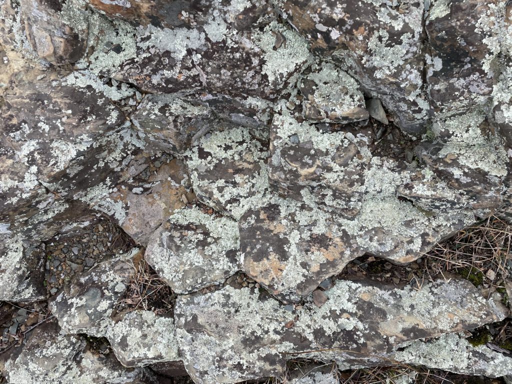 A photo of hexagonal basalt rock columns in Shenandoah National Park