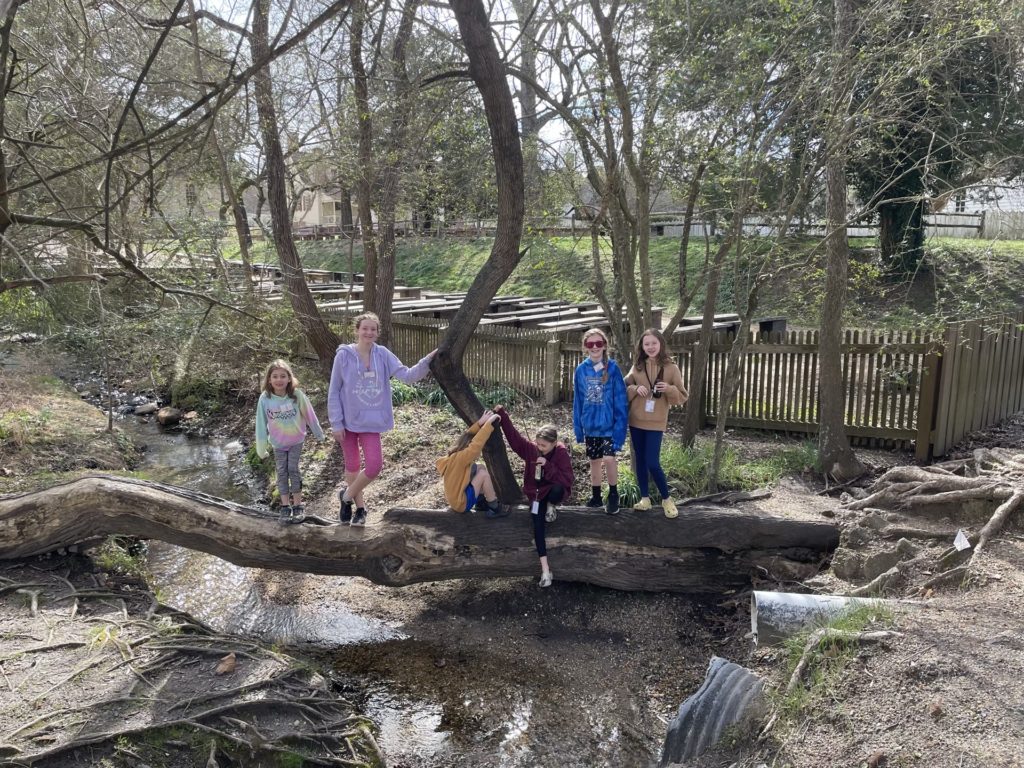 A photo of Ainsley, Rayleigh, Grayson, Olivia, Dillon, and Evie playing on a tree that is growing across a stream that flows through Colonial Williamsburg