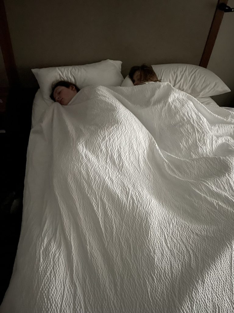A photo of Rayleigh and Dillon asleep in a hotel bed.