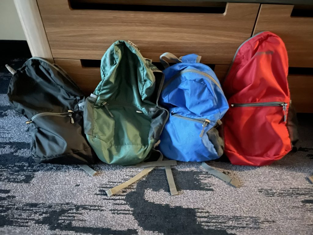 A photo of a black, green, blue, and red backpack sitting on a hotel floor