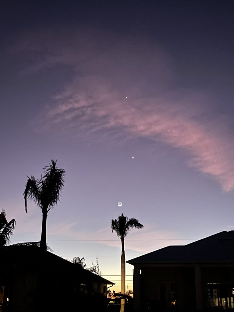 A photo of Jupiter and Venus in the night sky above a crescent moon with palm trees in the foreground