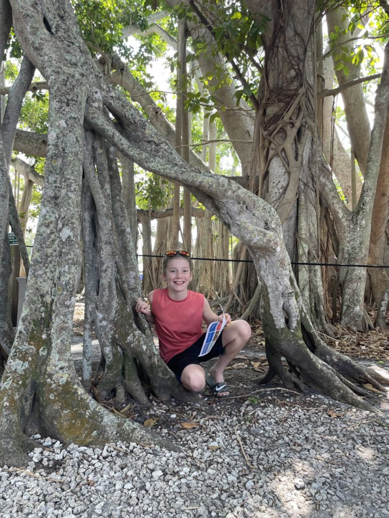 A photo of Dillon posing amoung the exposed root systems of a banyan tree