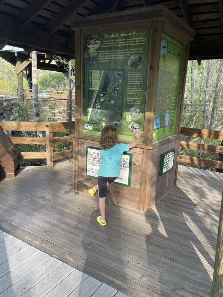 A photo of Grayson reading one of the informational displays along the elevated walkway