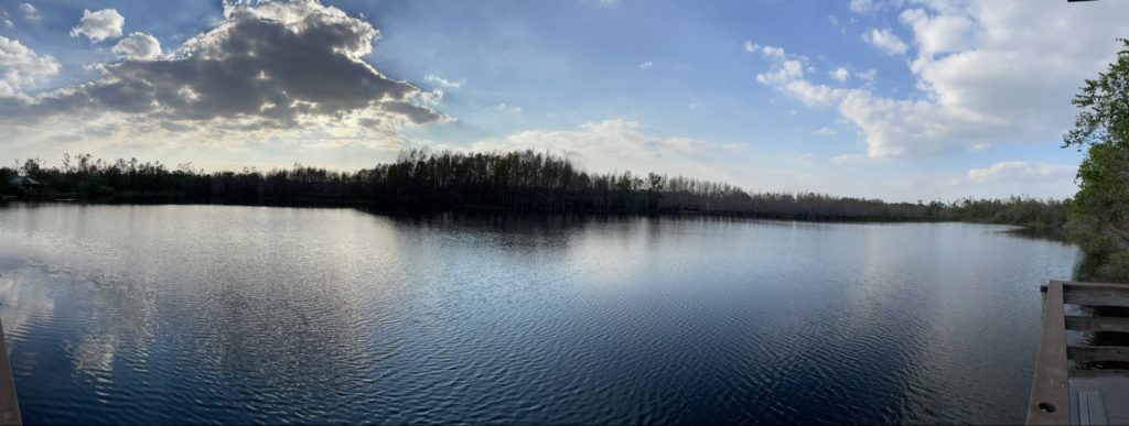 A panoramic photo of Gator Pond