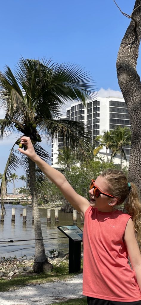 A photo that uses perspective to make it seem like Dillon is picking a coconut from a coconut tree, even though he's standing 20 feet in front of it