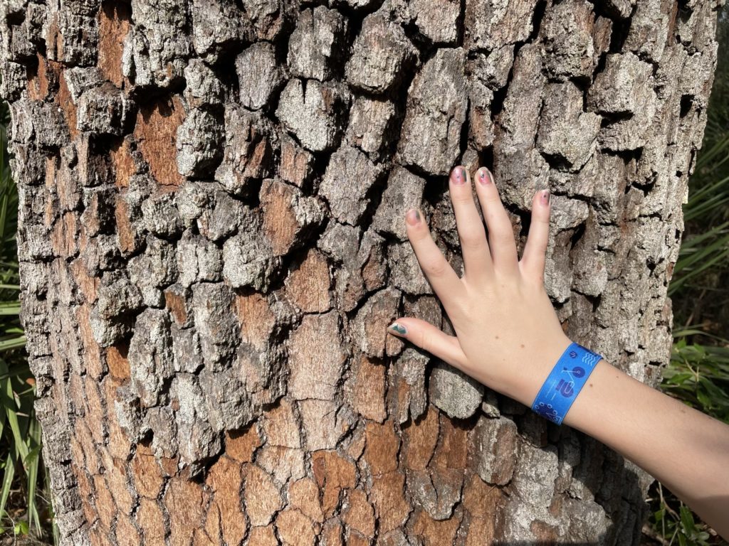 A photo of Dillon touching the bark of a tree that has been worn away in places