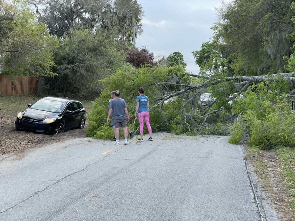 A photo of a car getting stuck trying to drive through loose soil next to the road due to a fallen tree blocking the entire roadway as Kelsey and two locals look on