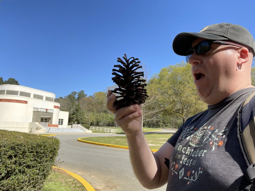 A photo of Kevin holding up an enormous pinecone and making a horrified face