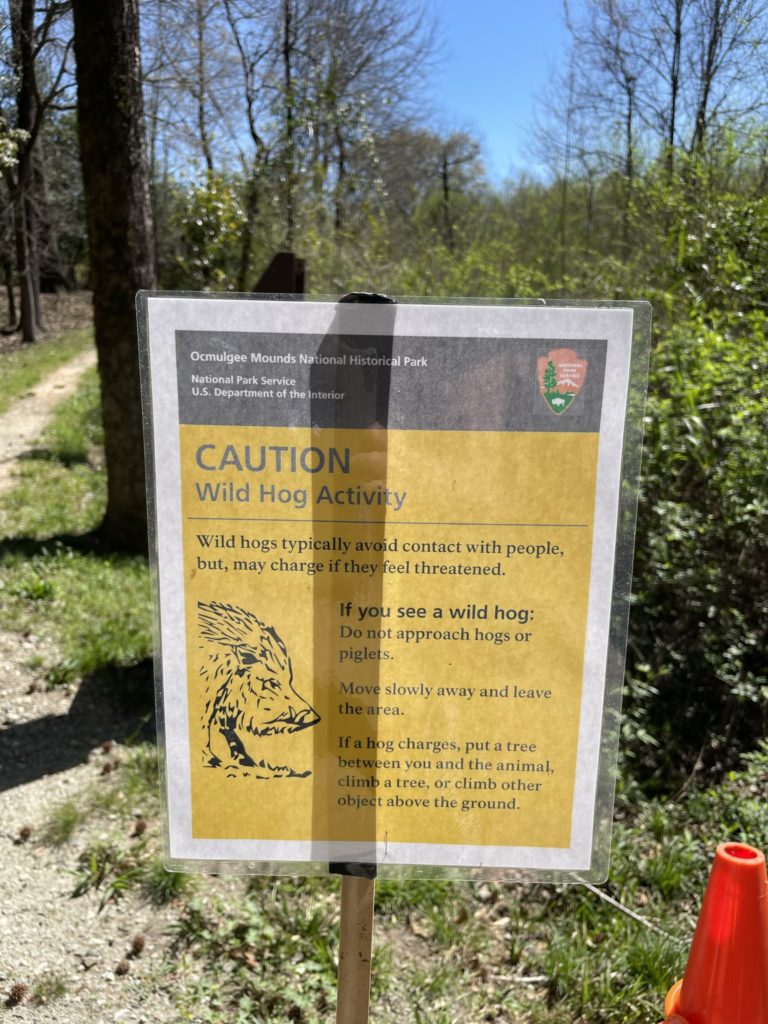 A photo of a sign that says "Caution: wild hog activity Wild hogs typically avoid contact with people, but may charge if they feel threatened. If you see a wild hog: do not approach hogs or piglets. Move slowly away and leave the area. If a hog charges, put a tree between you and the animal, climb a tree, or climb other object above the ground."