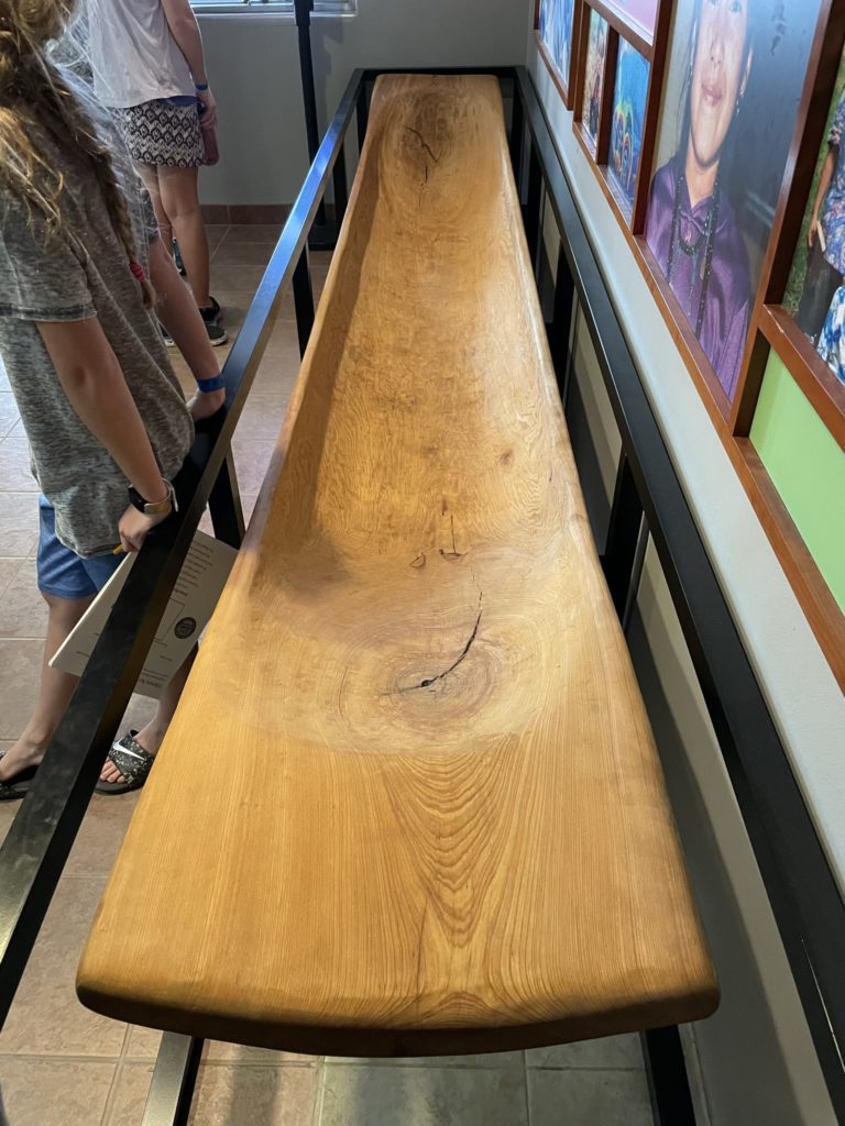 A photo of a dugout canoe that was manufactured recently