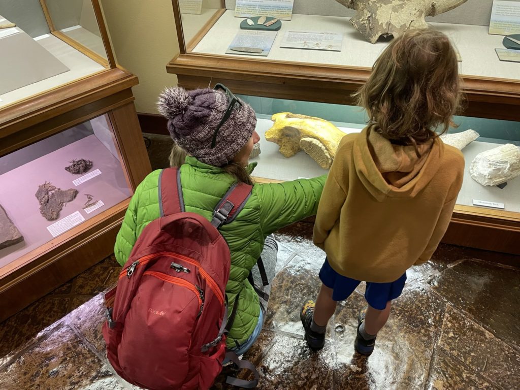 A photo of Kelsey showing Grayson some bones in a display case in a museum