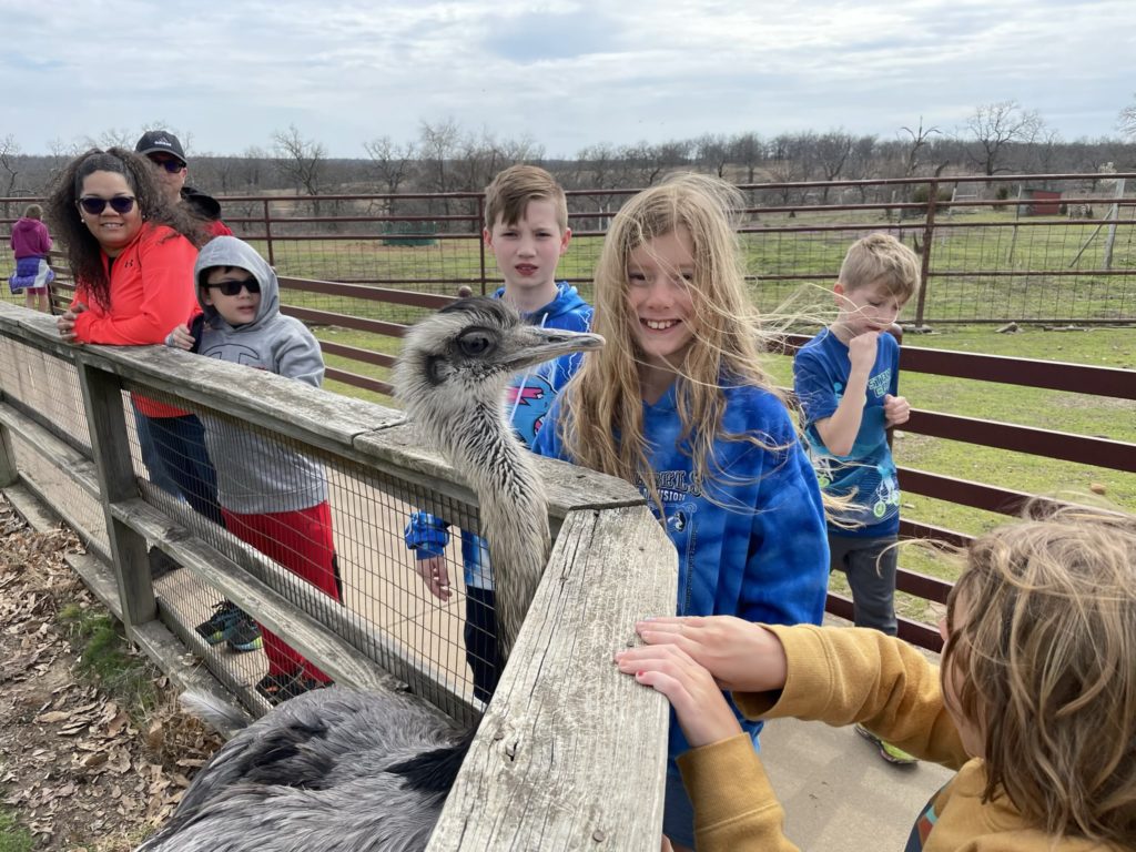 A photo of Milo, Dillon, Peter, Grayson, and some other people standing next to the fence of an enclosure where an ostrich is standing right on the other side of the fence