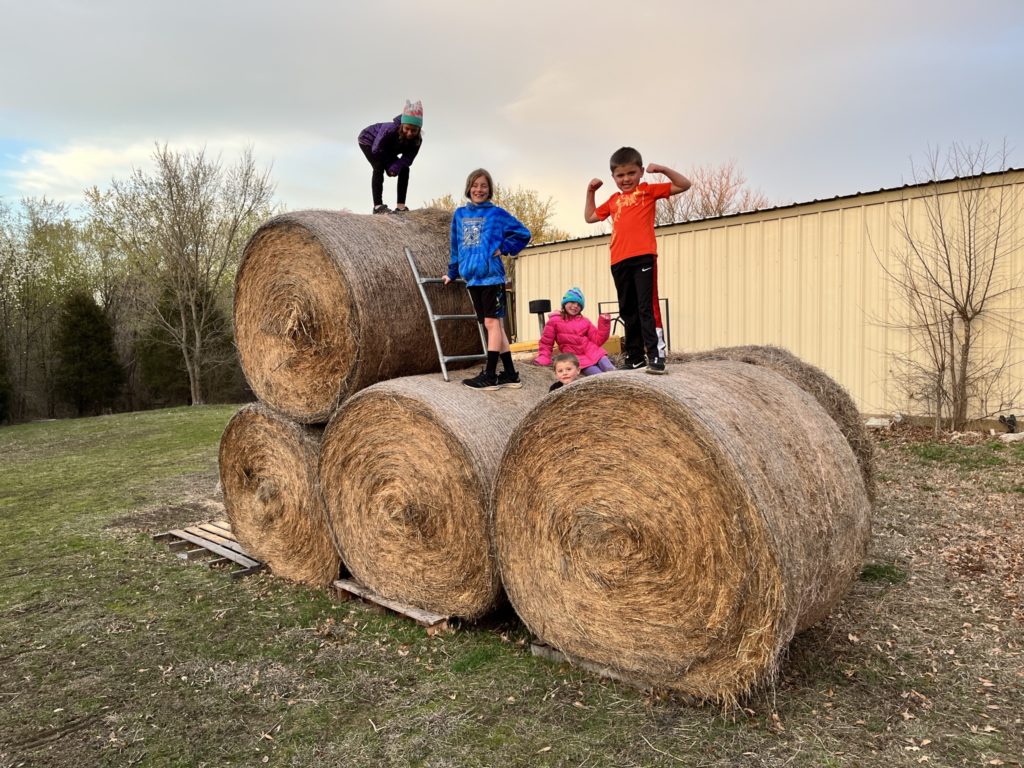 A photo of Ainsley, Dillon, Nora, Peter, and Oliver on a stack of hay bales