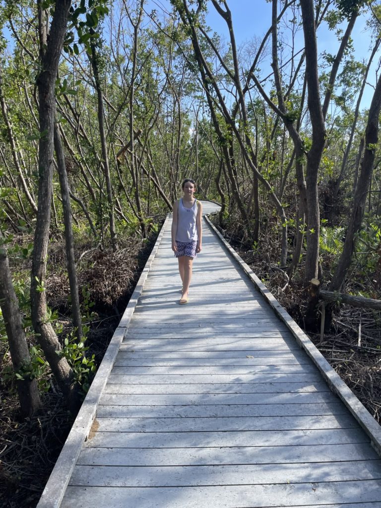 A photo of Rayleigh walking along an elevated walkway in a forest preserve