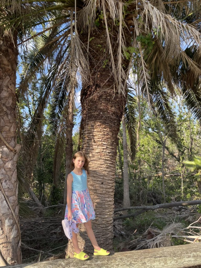 A photo of Ainsley next to a large palm tree