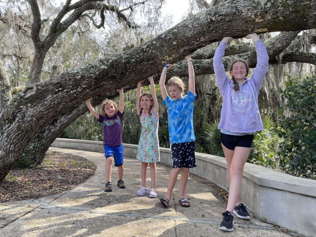 A photo of Grayson, Ainsley, Dillon, and Rayleigh appearing to hold up a tree branch that extends over the walkway