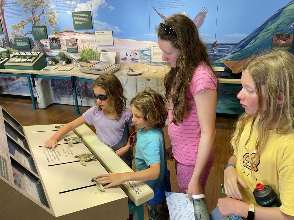 A photo of Ainsley, Grayson, Rayleigh, and Dillon reading a display about sea turtles in the national park visitor's center