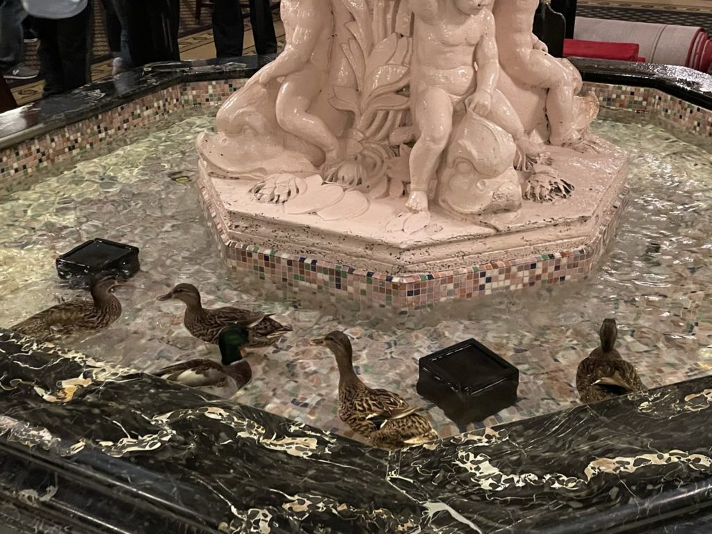 A photo of five ducks in a fountain in a hotel