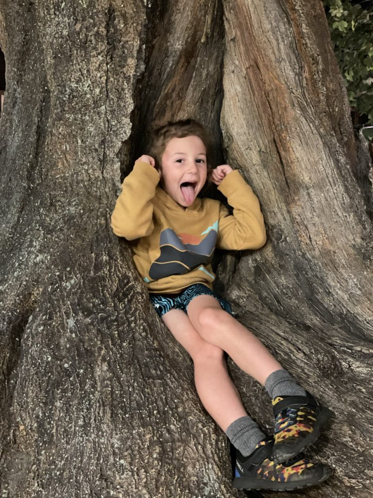 A photo of Grayson sitting in the hollow of a fake tree making a silly face and sticking out his tongue