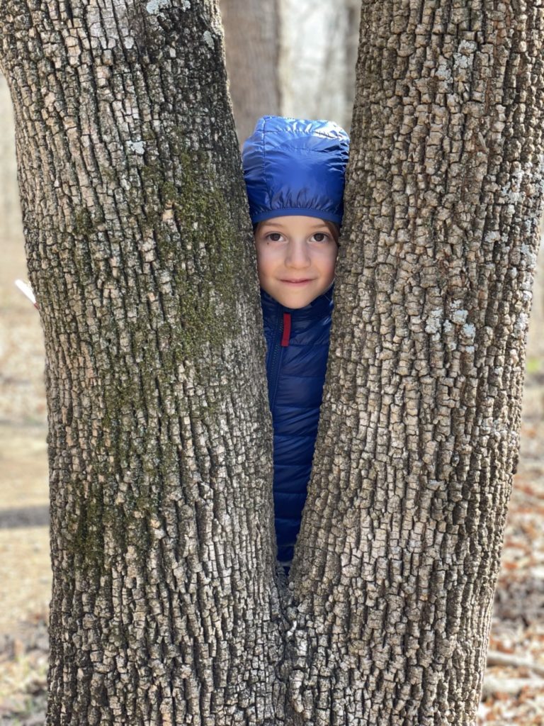 A photo of Grayson wearing a coat with his hood up poking his head between the trunks of two trees that grew together in a V shape